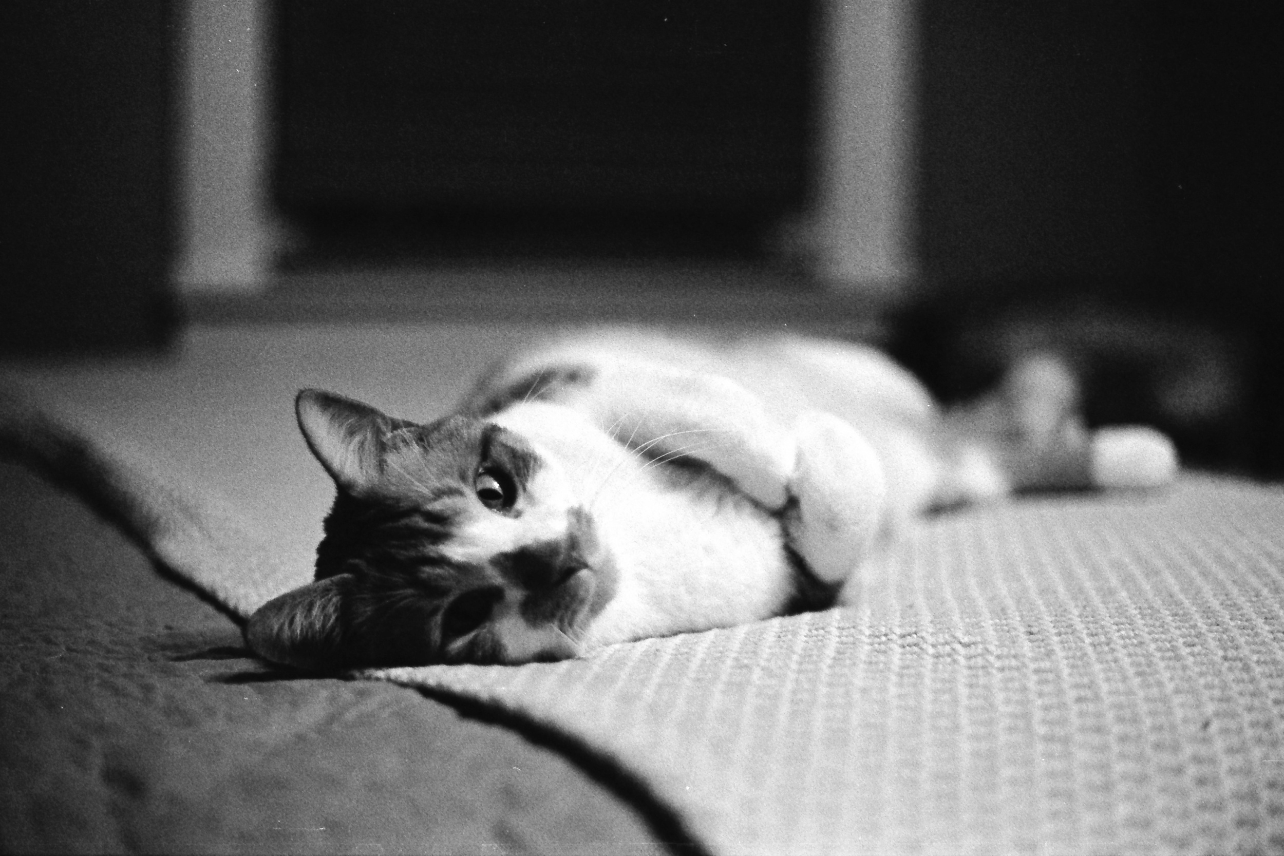 Timeless Black and White Film Photographs Taken in Grand Rapids, Michigan