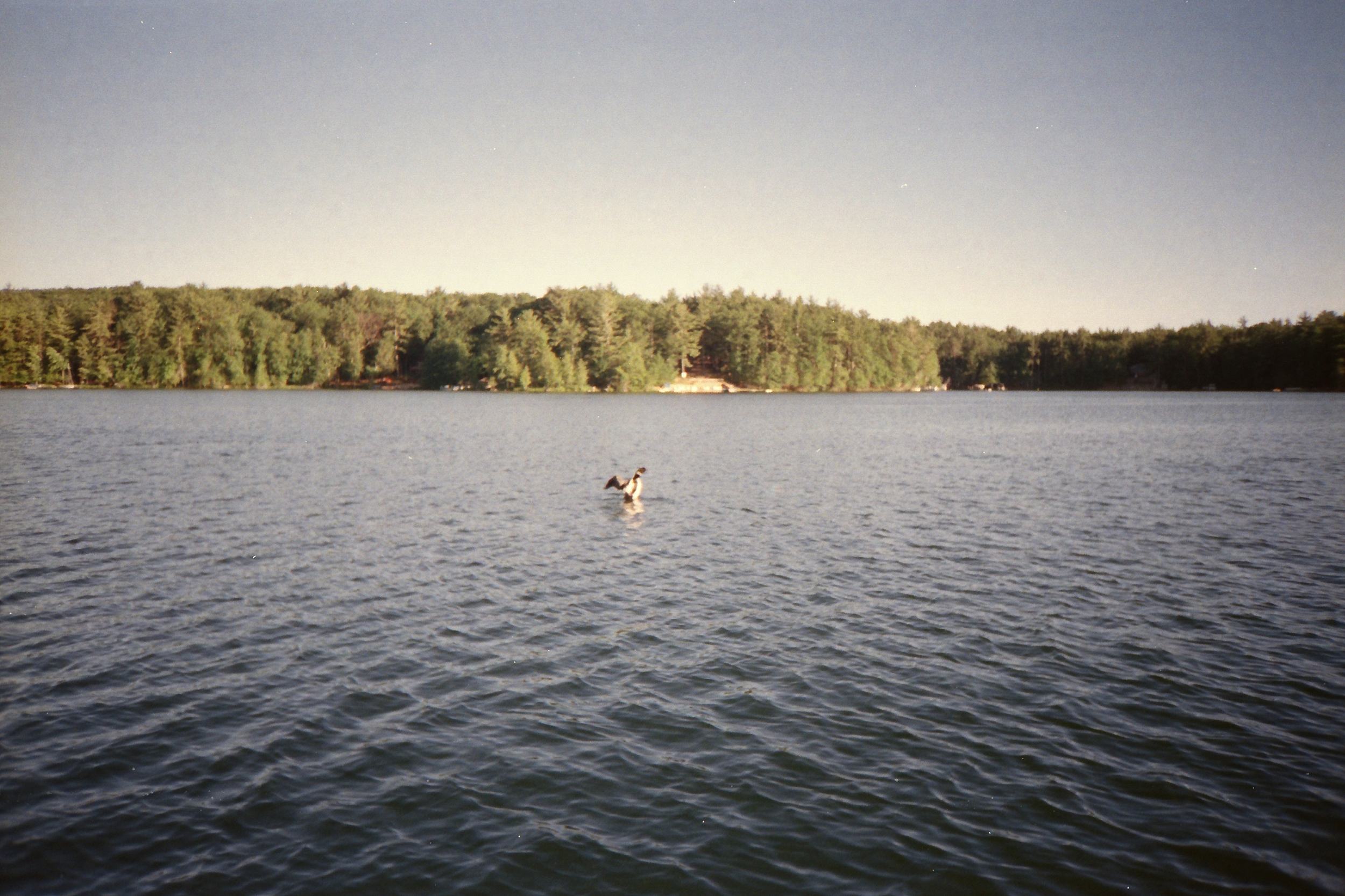 family-vacation-at-spider-lake-in-northern-michigan_0082.jpg