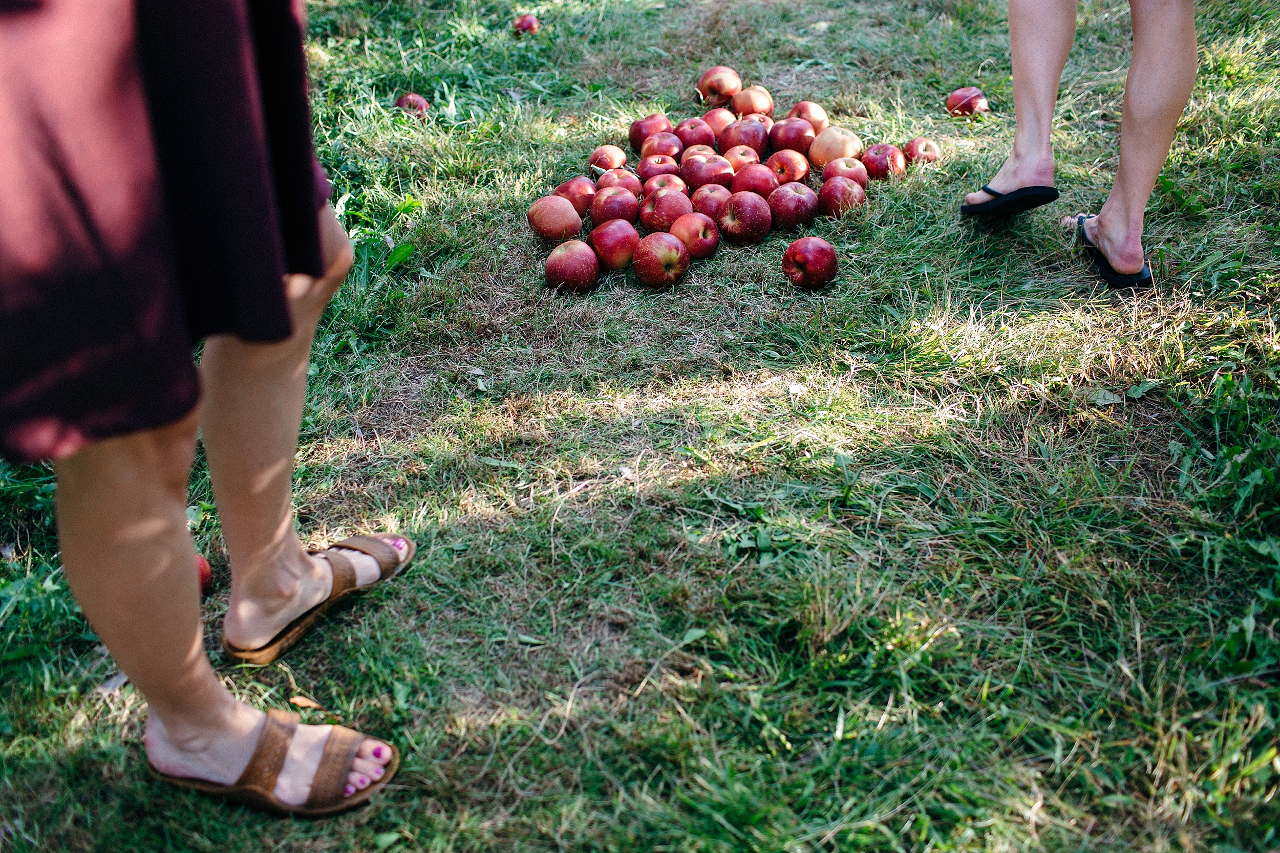 sisters-weekend-apple-picking-in-columbus-ohio_0012.jpg