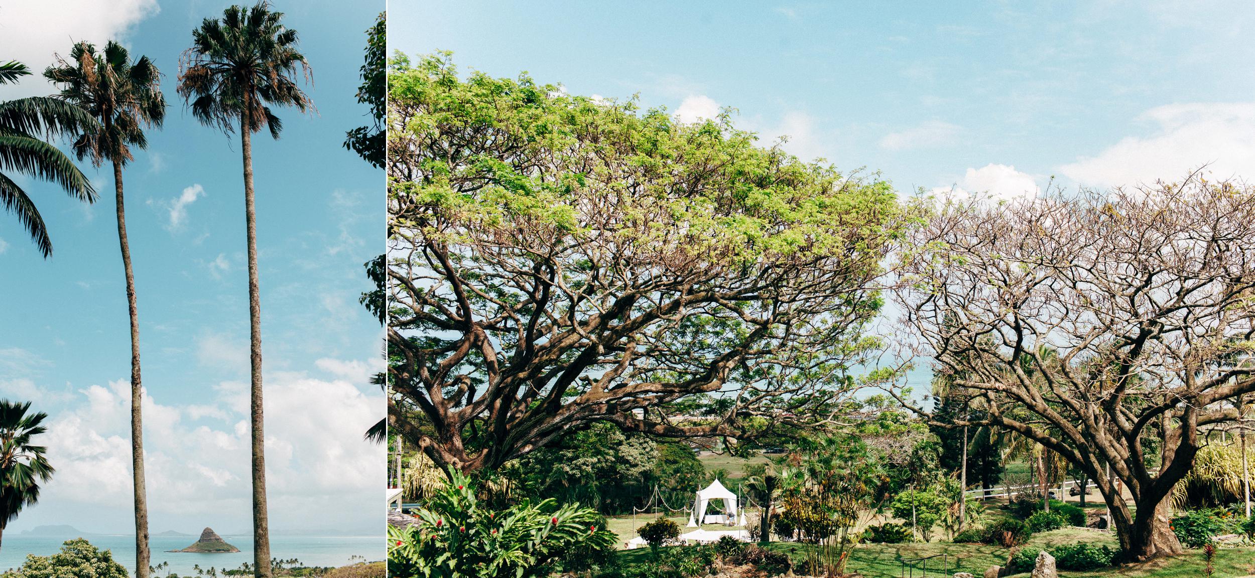 Kualoa Ranch Wedding