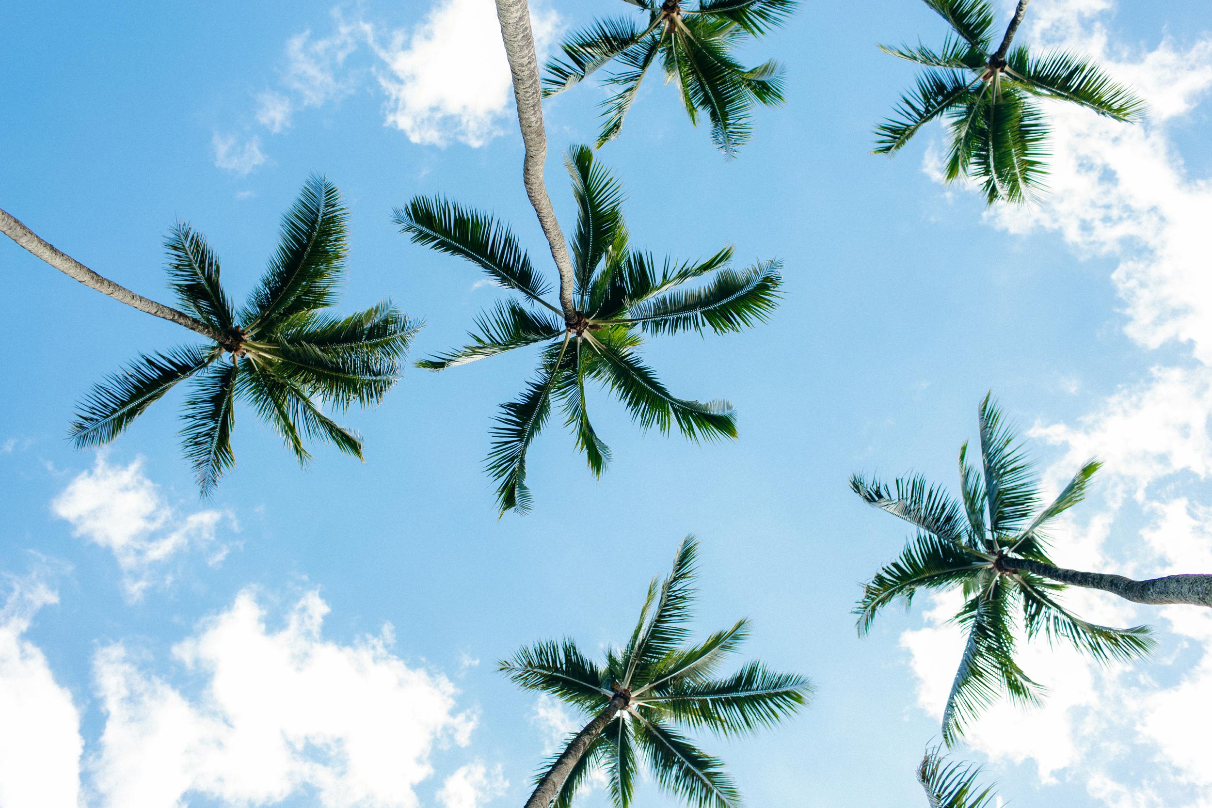 Oahu Documentary Photographs of Surfing, Hiking, Snorkeling