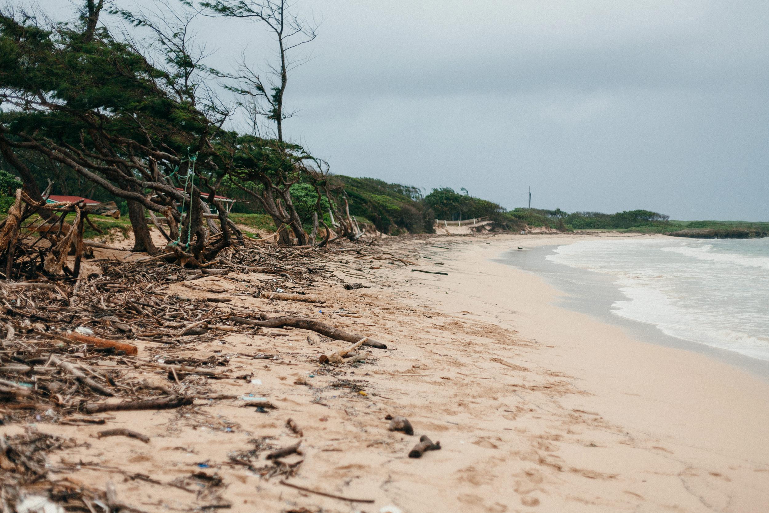  Living Hawai'i Nei - Our Personal Documentary Photographs 