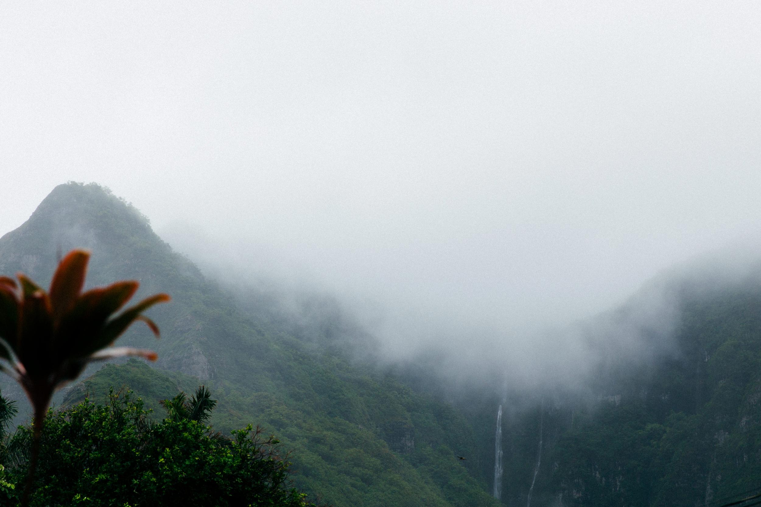  Living in Hawai'i - Our Life 2018 