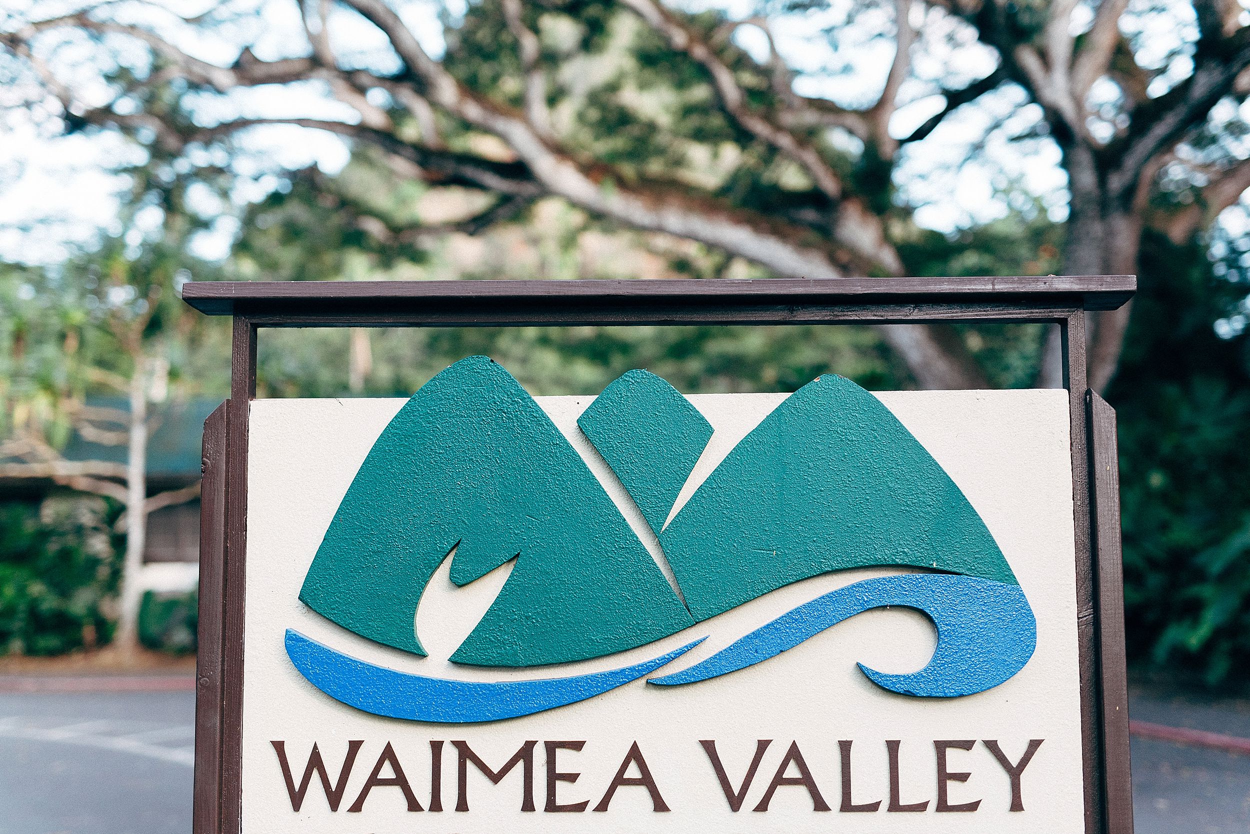  Waimea Valley Elopement - La'ie Temple Wedding 