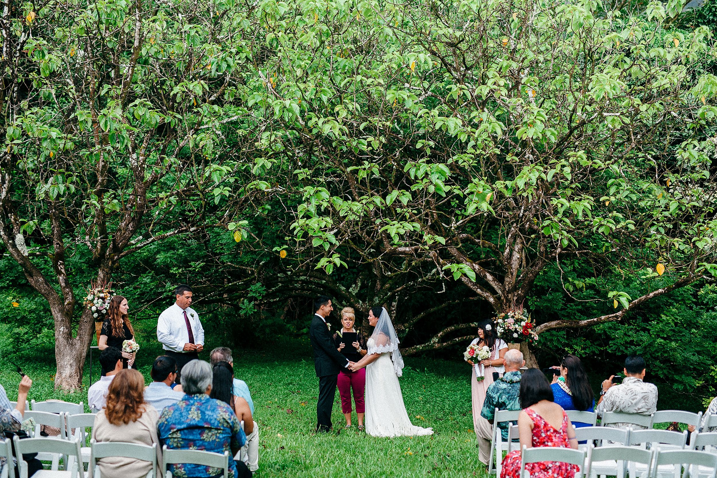  Ho'omaluhia Mountain Wedding - A Small Hawaii Elopement 