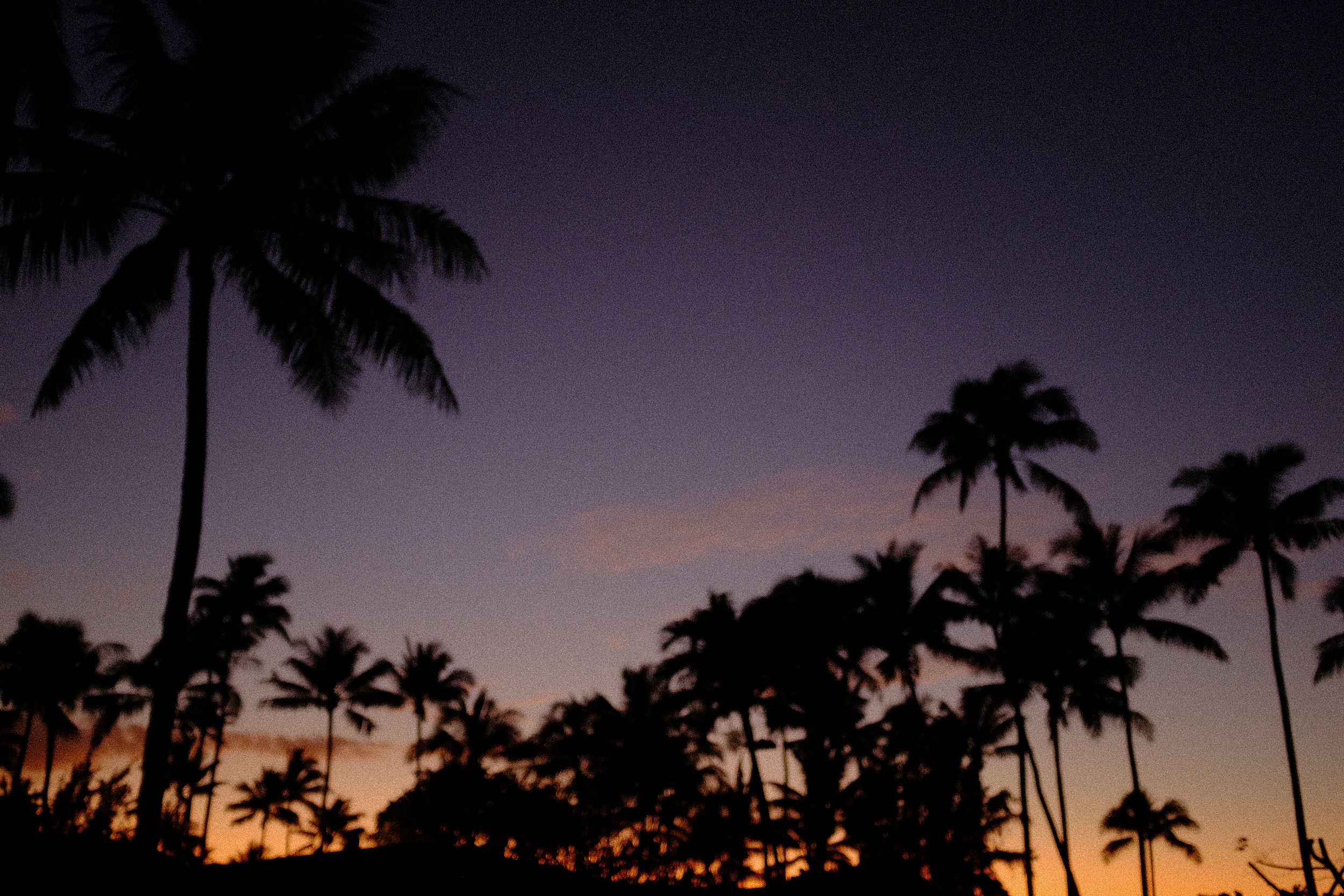  Our Hawaii Life - December & January Journal 