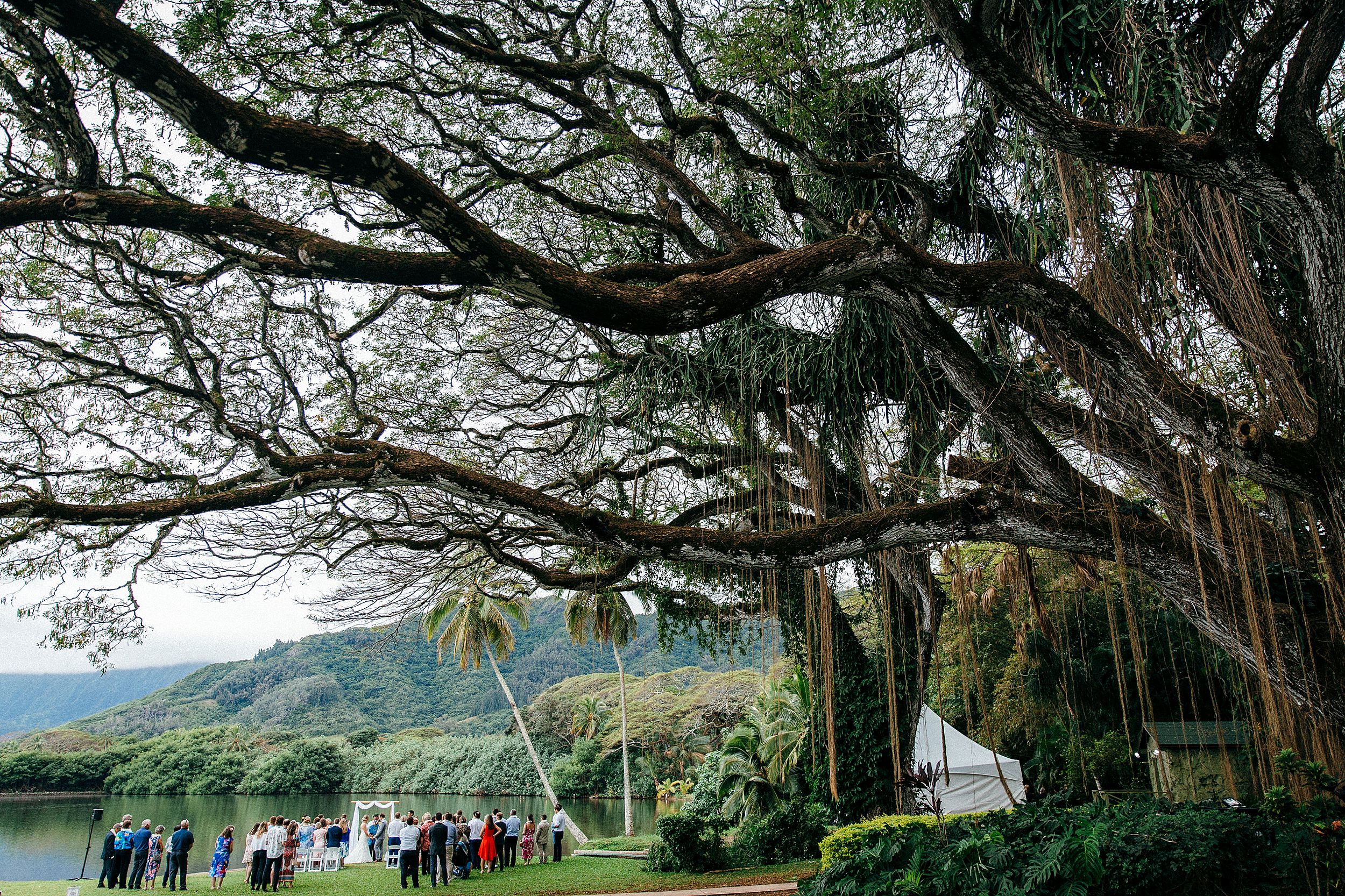  Dani & Mat Elope to Kualoa Ranch's Molii Gardens on Oahu's North Shore 