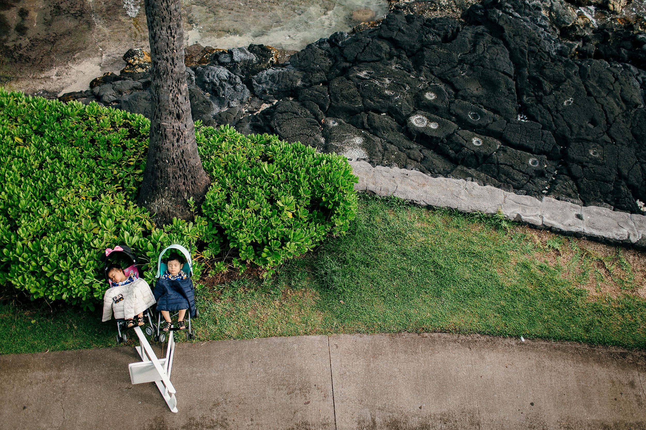 Daylight Mind Wedding in Kona