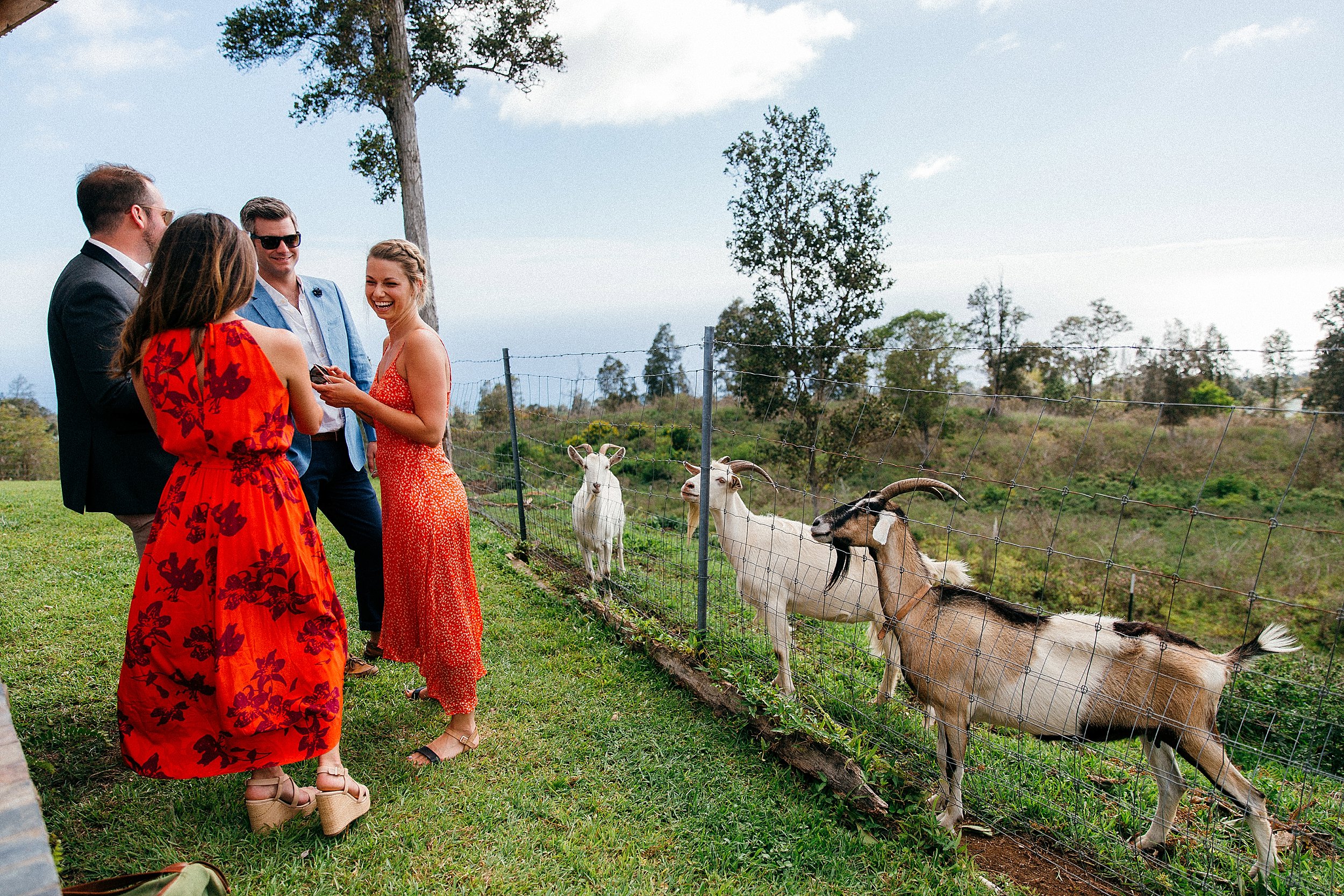  Emily & Jay - Big Island Wedding at Sunshower Coffee Farms 