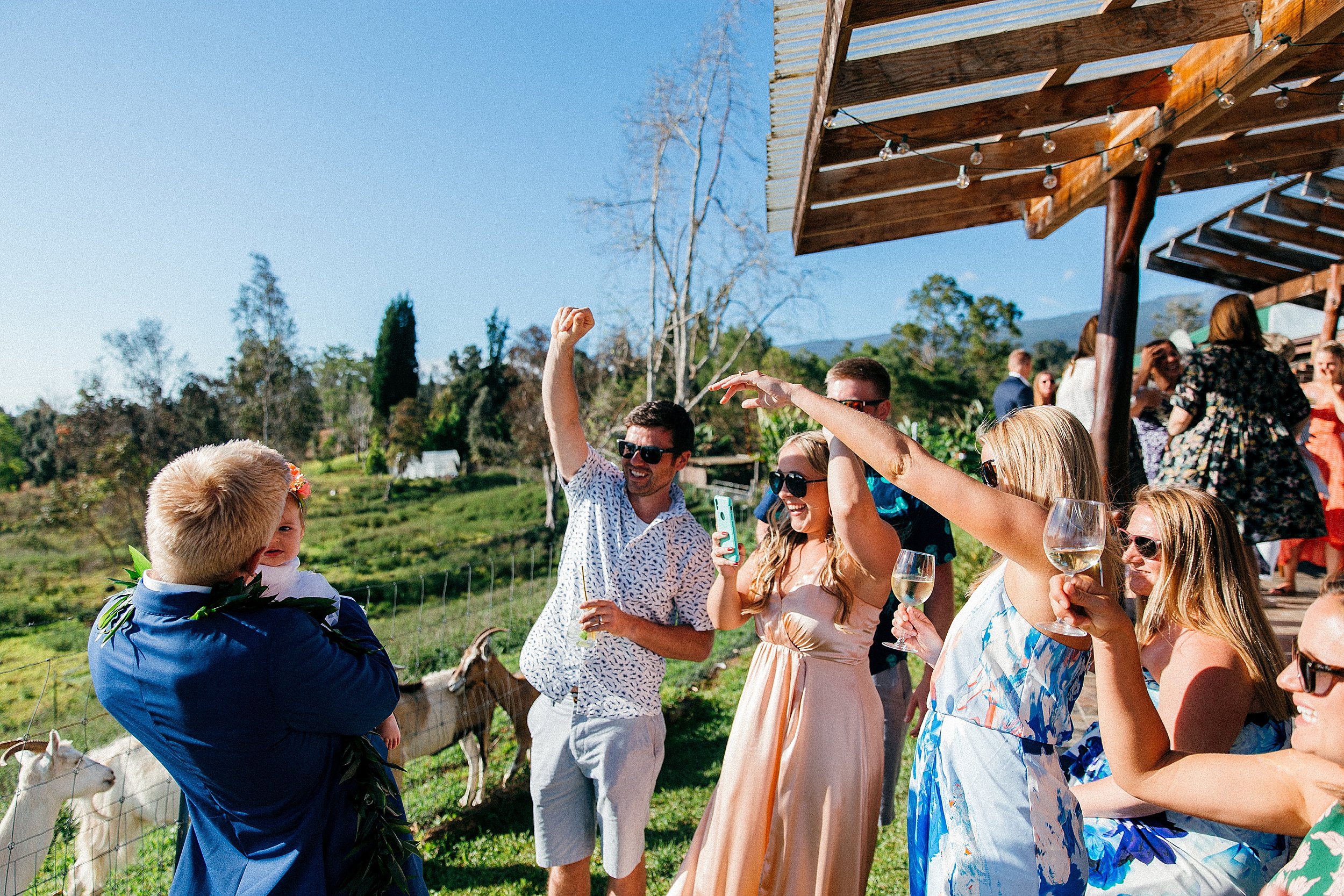  Emily & Jay - Big Island Wedding at Sunshower Coffee Farms 