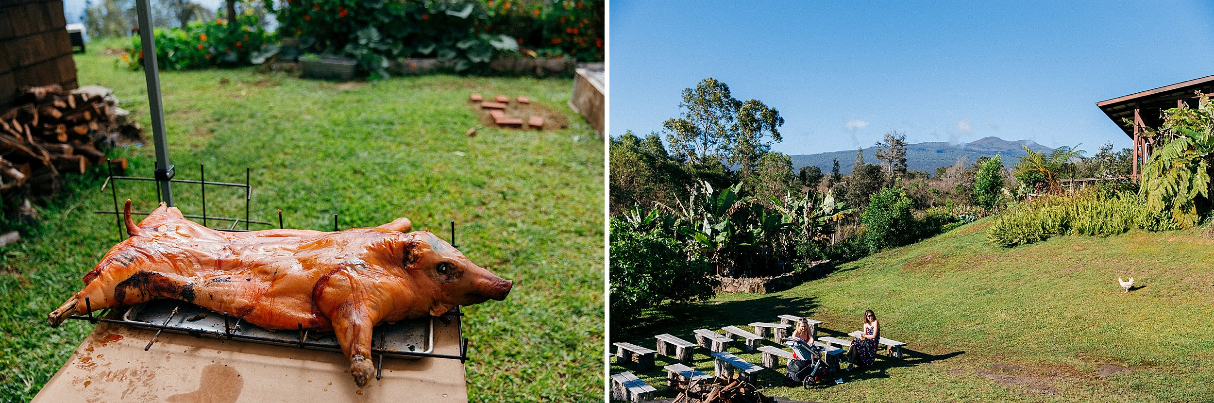  Emily & Jay - Big Island Wedding at Sunshower Coffee Farms 