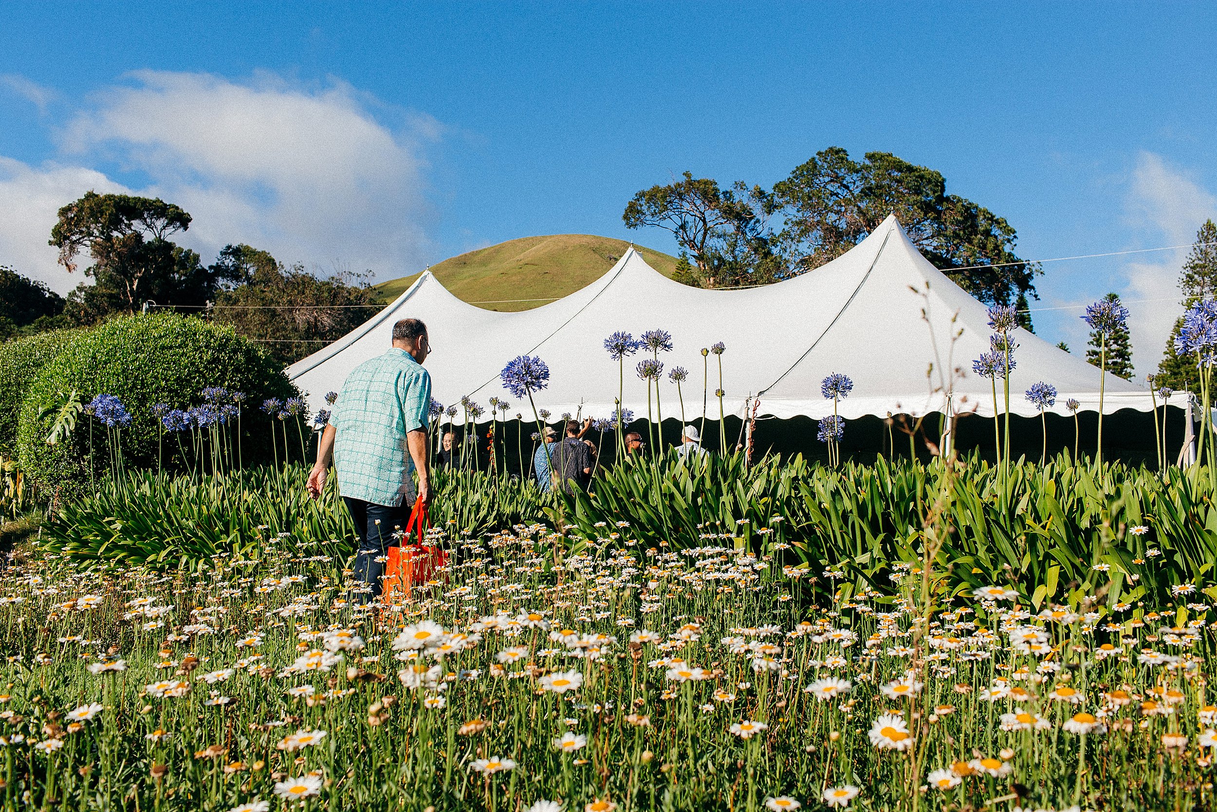  Kirsten & Kyle - Backyard Wedding at Anna Ranch and Mauna Kea 