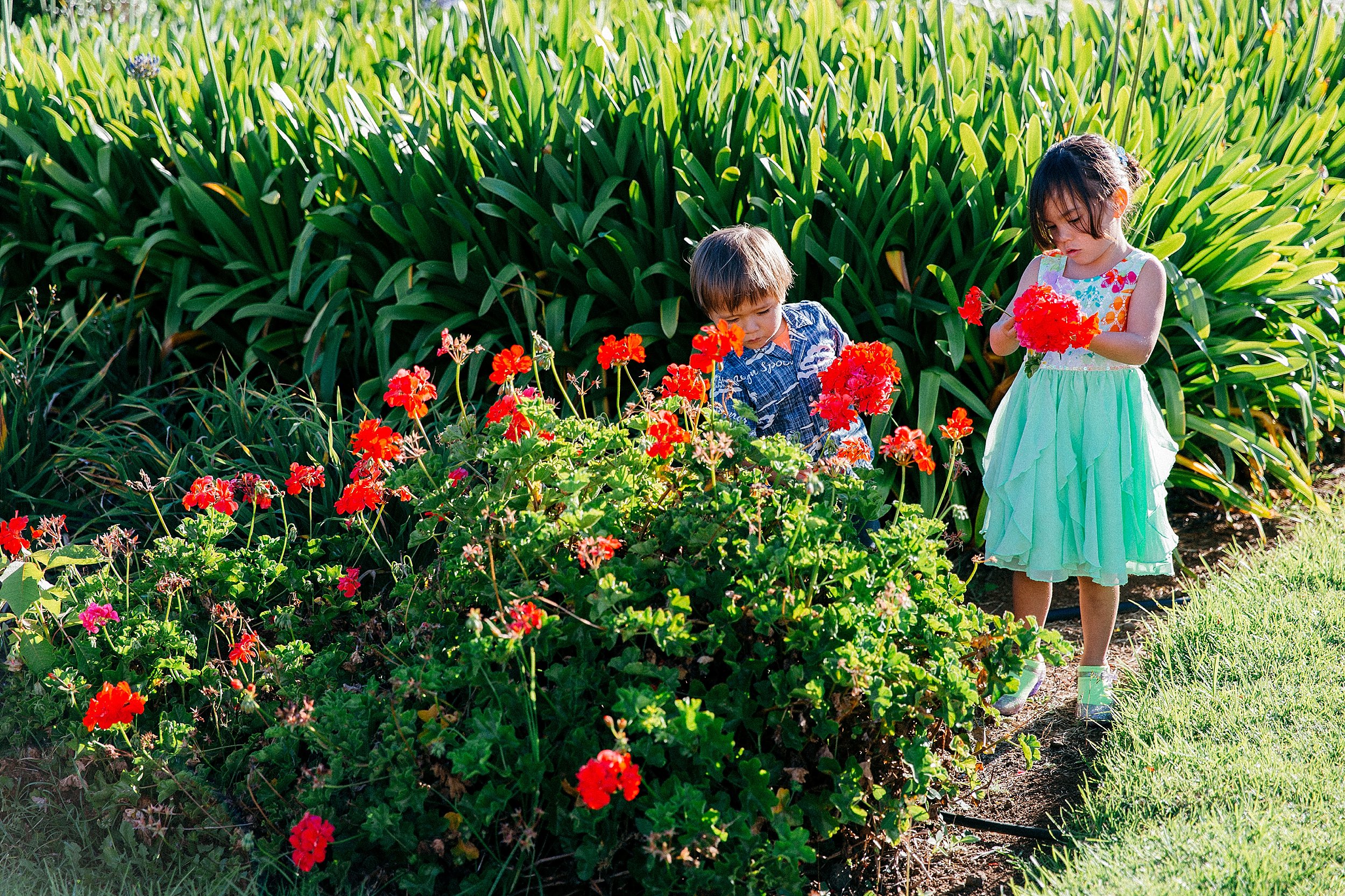  Kirsten & Kyle - Backyard Wedding at Anna Ranch and Mauna Kea 