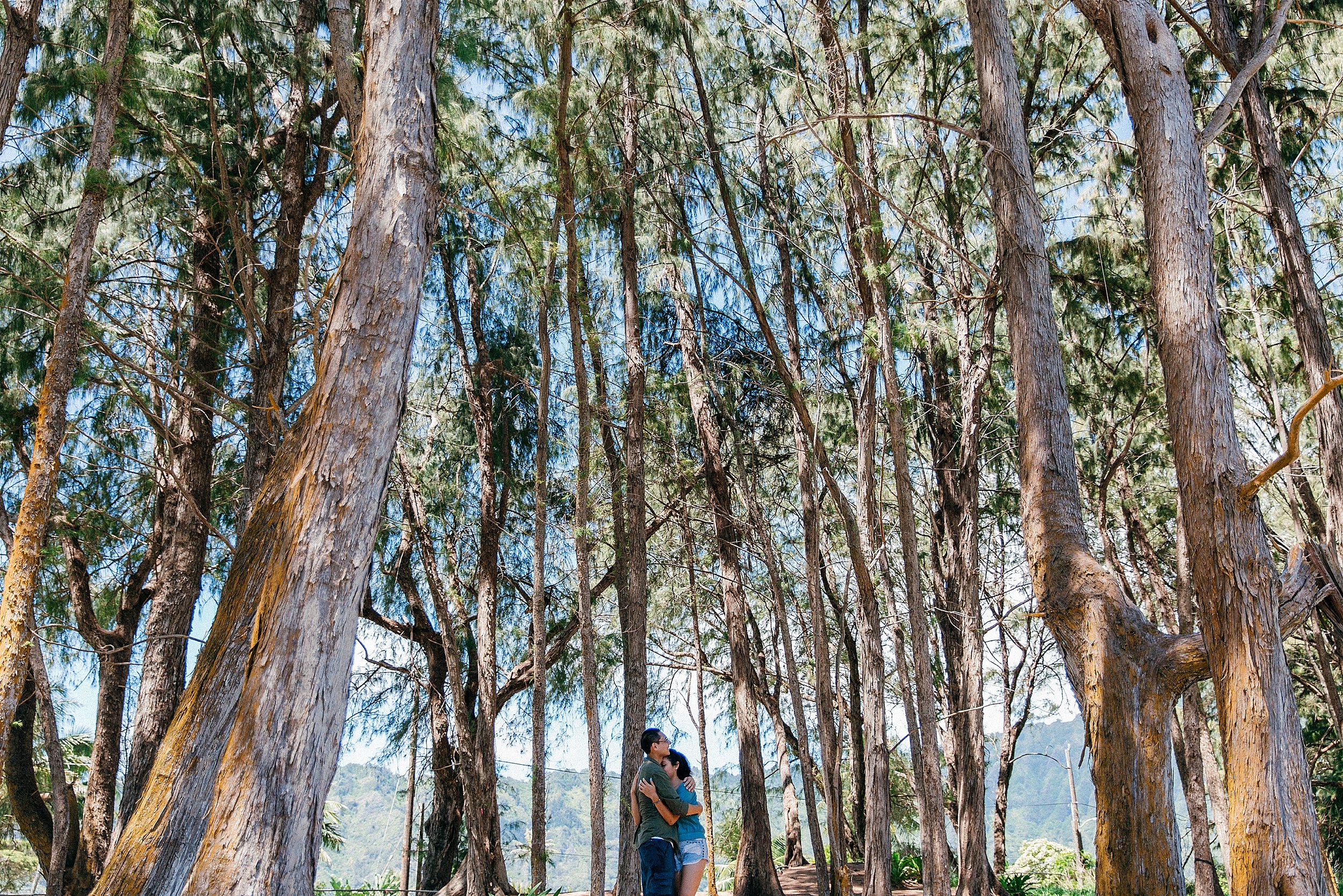  Fun and Playful Mountain Proposal in Waimanalo, Hawaii 