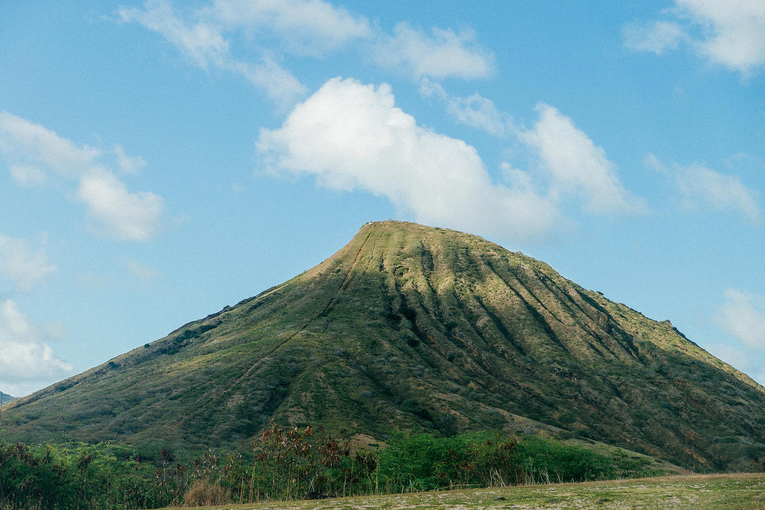  Hawaii Wedding at Sea Life Park and Makapuu Lookout 