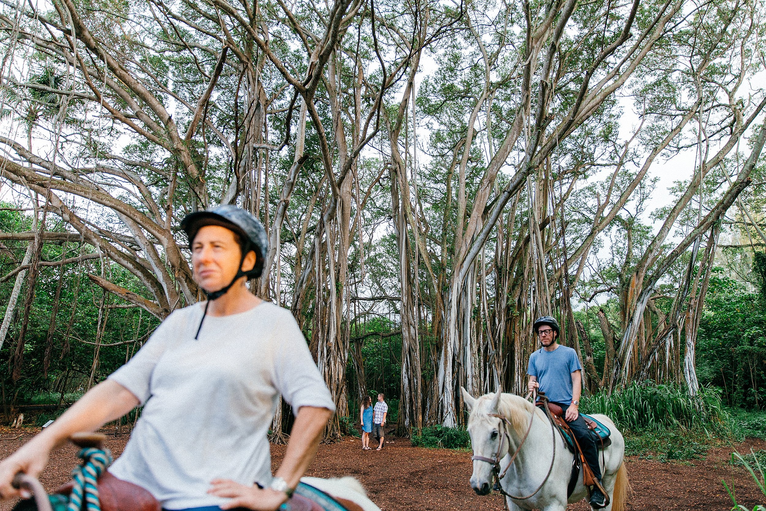  Family Session at Kawela Bay Banyan Tree near Turtle Bay Resort 